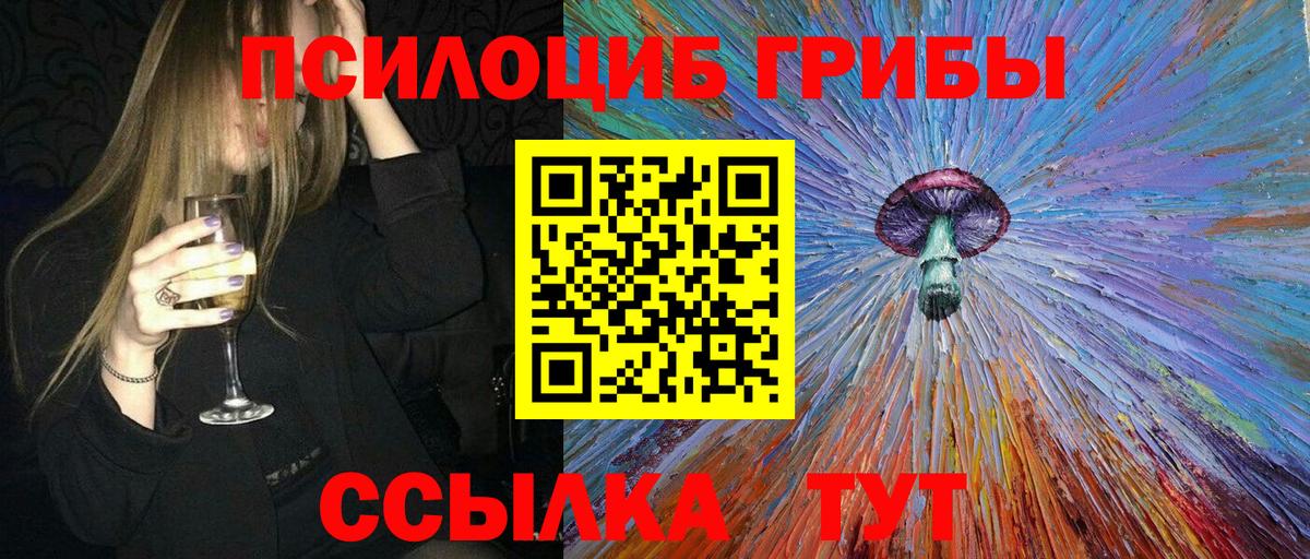 Псилоцибиновые грибы Psilocybe Дивногорск